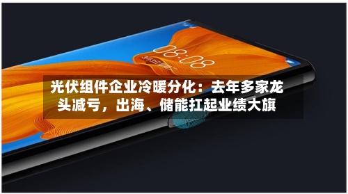 光伏组件企业冷暖分化：去年多家龙头减亏，出海、储能扛起业绩大旗