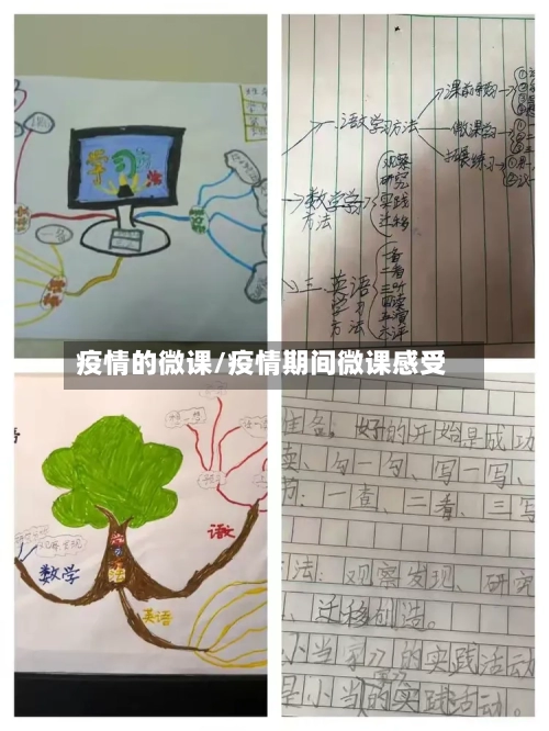 疫情的微课/疫情期间微课感受