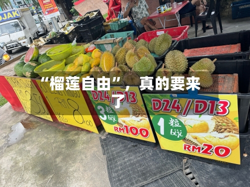 “榴莲自由”，真的要来了