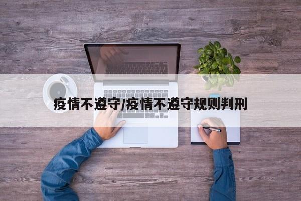 疫情不遵守/疫情不遵守规则判刑