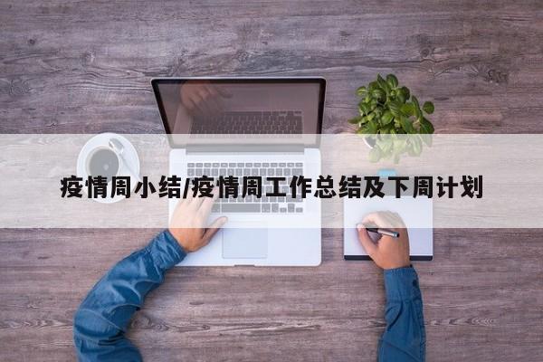 疫情周小结/疫情周工作总结及下周计划